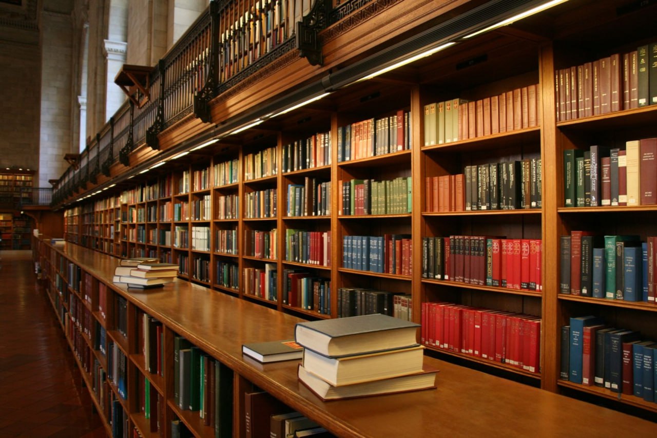 Госдума приняла в первом чтении законопроект об ограничении доступа к книгам «иноагентов» в библиотеках